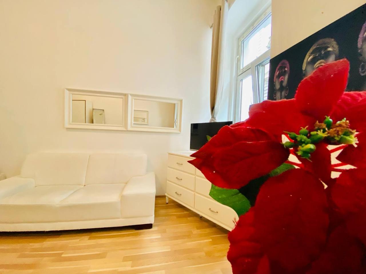 Cozy Studio Lg Apartment Wien Ngoại thất bức ảnh
